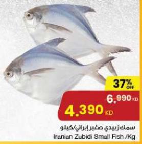 Iranian Zubidi Small Fish /Kg