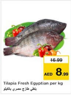 Tilapia Fresh Egyptian per kg