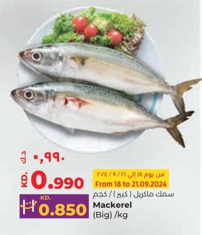 Mackerel (Big) /kg