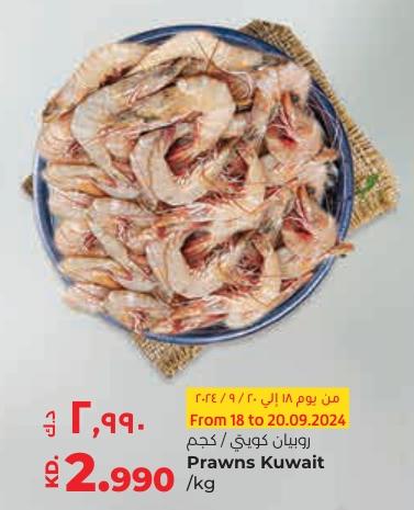 Prawns Kuwait KG 