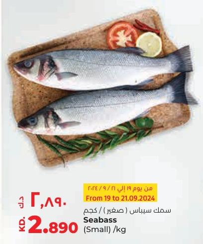 Seabass (Small) /kg