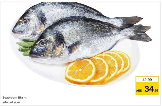 Seabream Big kg 1 kg