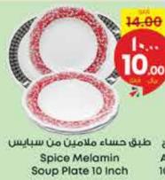 Spice Melamin Soup Plate 10 inch