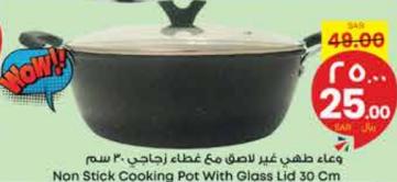 Non Stick Cooking Pot With Glass Lid