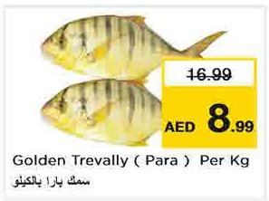 Golden Trevally ( Para ) Per Kg