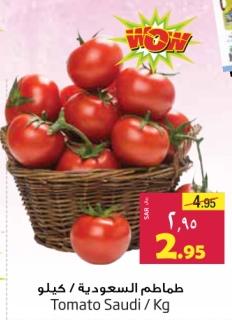 Tomato Saudi/Kg