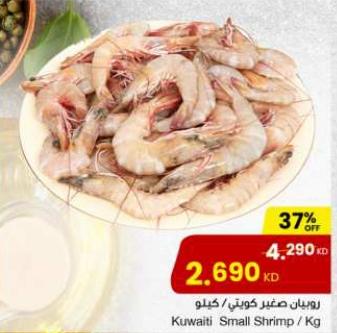 Kuwaiti Small Shrimp / Kg