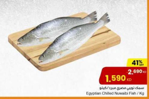 Egyptian Chilled Nuwaibi Fish KG