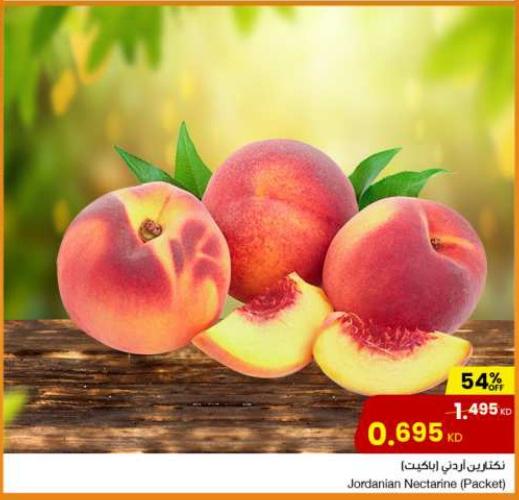 Jordanian Nectarine (Packet)