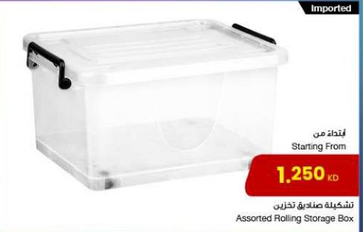 Assorted Rolling Storage Box