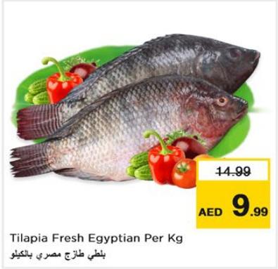 Tilapia Fresh Egyptian Per Kg