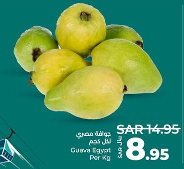 Guava Egypt Per Kg