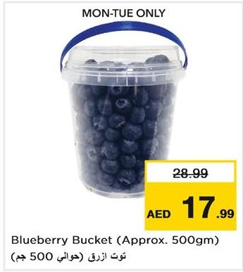 Blueberry Bucket (Approx. 500gm)