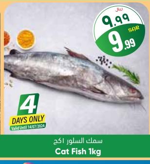 Cat Fish 1kg