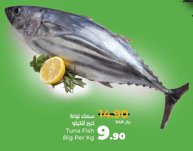 Tuna Fish Big Per Kg