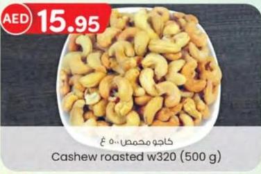 Cashew roasted w320 (500 gm)