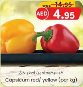 Capsicum red/ yellow (per kg)
