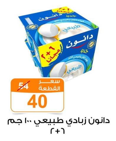 Danone Natural Yoghurt 6+2 x 100 gm 