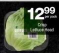 CRISP LETTUCE HEAD 