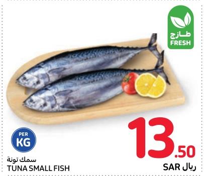 Tuna Small Fish KG