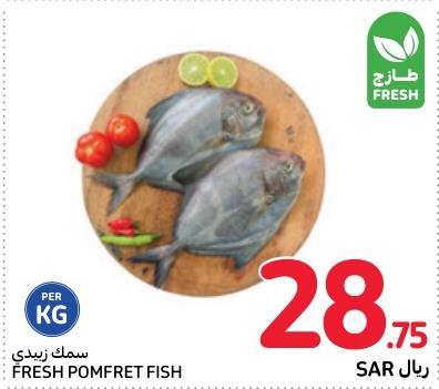 Fresh Pomfret Fish KG