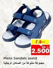 Mens Sandals assorted