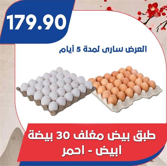 طبق بيض مغلف 30 بيضة - ابيض - احمر