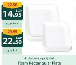 Foam Rectangular Plate 1KG