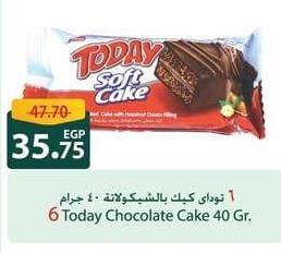 Elvan Today  Chocolate Cake 6x40 gm 