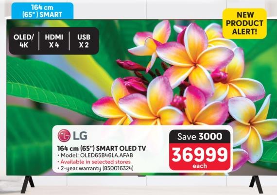 LG 164 cm (65") SMART OLED TV 