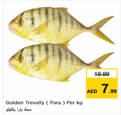 Golden Trevally ( Para ) Per kg