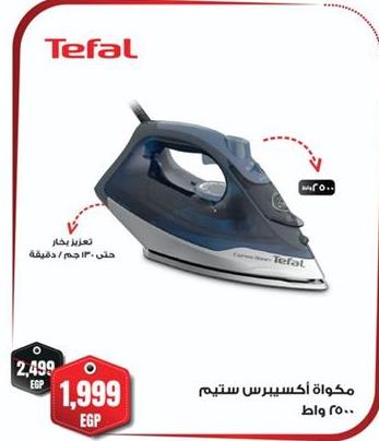 Tefal Steam Iron