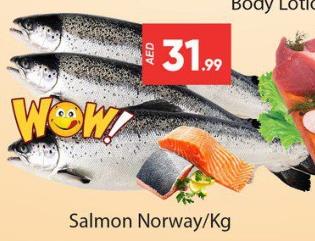 Salmon Norway/Kg