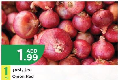 Red Onion 1 kg