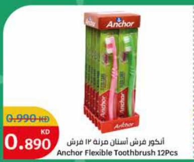 Anchor Flexible Toothbrush  12Pcs