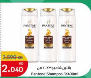 Pantene Shampoo 3X400ml