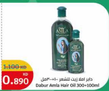 Dabur Amla Hair Oil 300+100ml