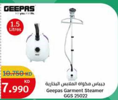 Geepas Garment Steamer GGS 25022