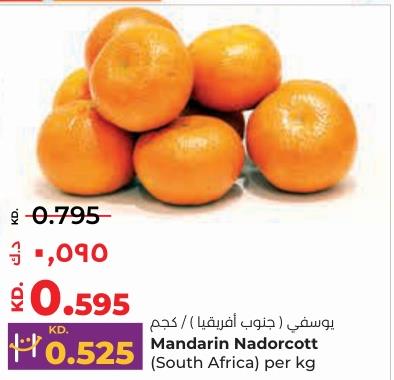 Mandarin Nadorcott (South Africa) per kg