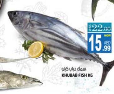 Khubab Fish 