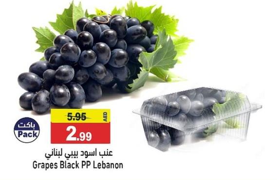 Grapes Black PP Lebanon