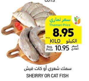 Sheirry OR Cat Fish per kg