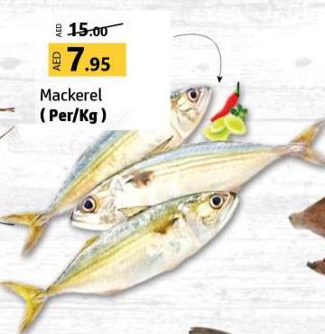 Mackerel (Per/Kg)