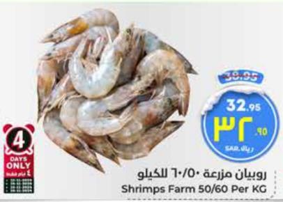 Shrimps Farm 50/60 Per KG