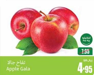 Apple Gala PER KG