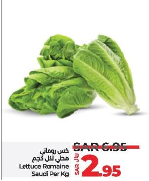 Lettuce Romaine Saudi Per Kg