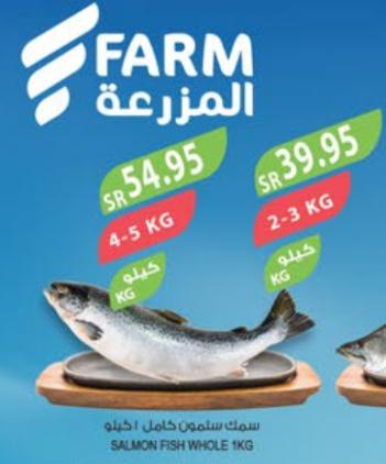 SALMON FISH WHOLE 2-3kG