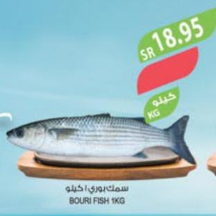 BOURI FISH 1KG