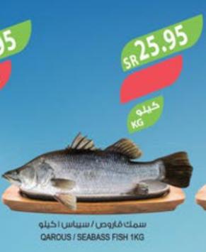 QAROUS/SEABASS FISH 1KG