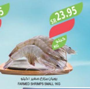 FARMED SHRIMPS SMALL 1KG